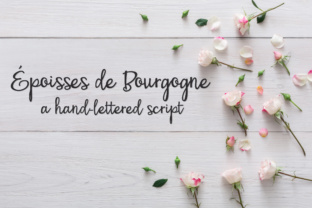 Reviewing PN Époisses De Bourgogne